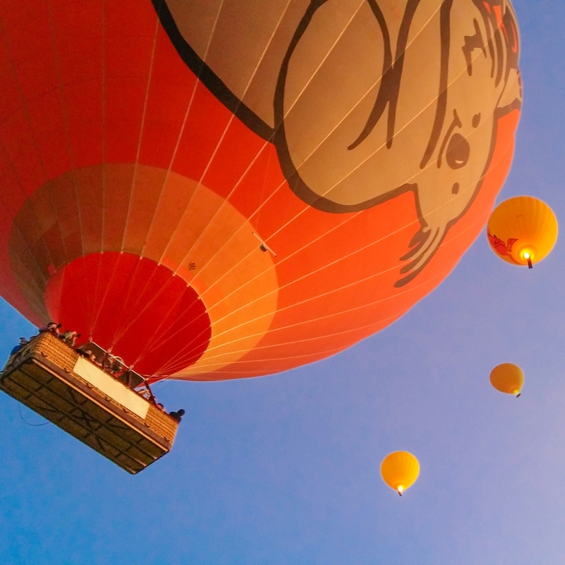 Cairns Classic Balooning (With Pick-up)