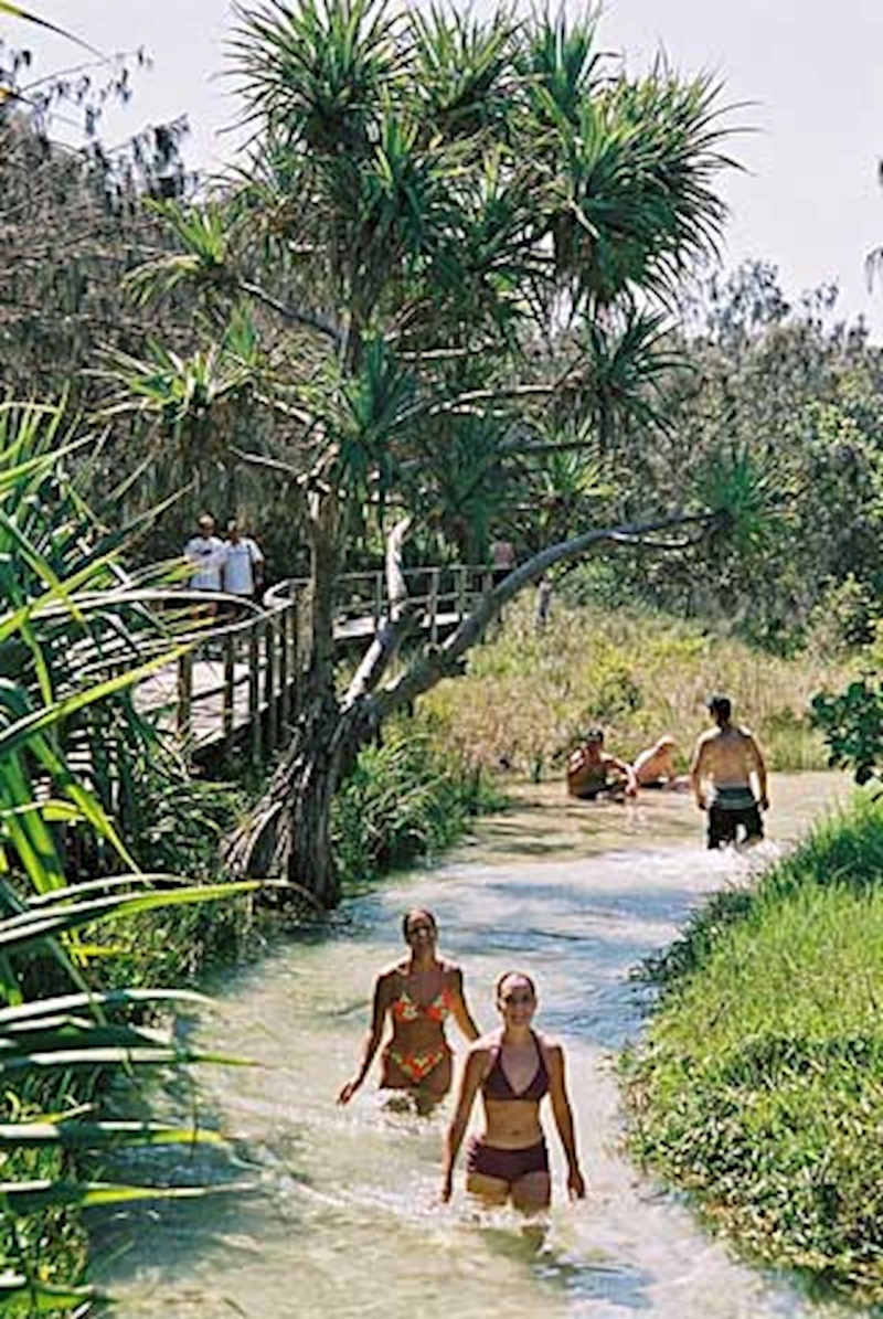 Fraser Island 2-Night 4WD Adventure (Camping) - Image 2