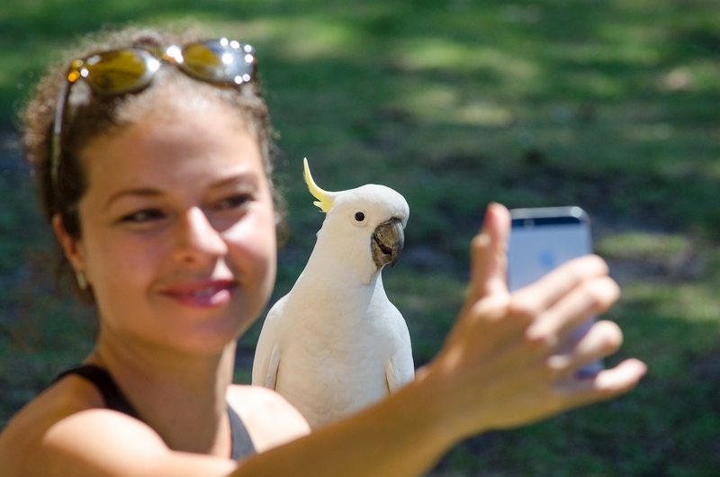 Great Ocean Road to Grampians 3 Day (Shared or Private) - Image 2