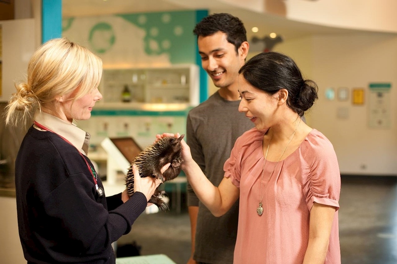 Healesville Wildlife Sanctuary - Image 3