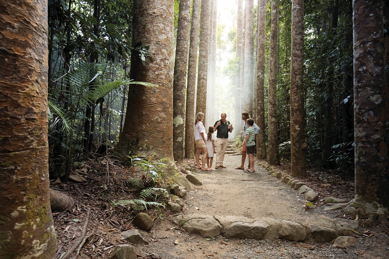 Paronella Park Experience from Cairns - Image 3