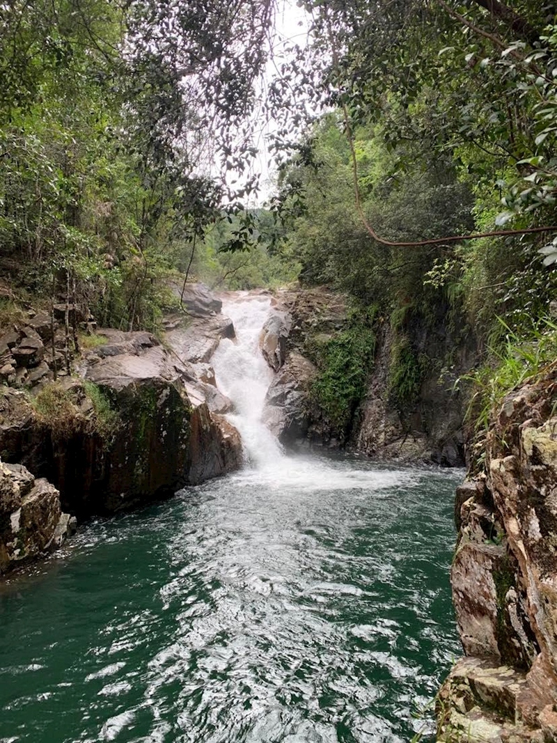 Platypus Paradise Tour - Image 3