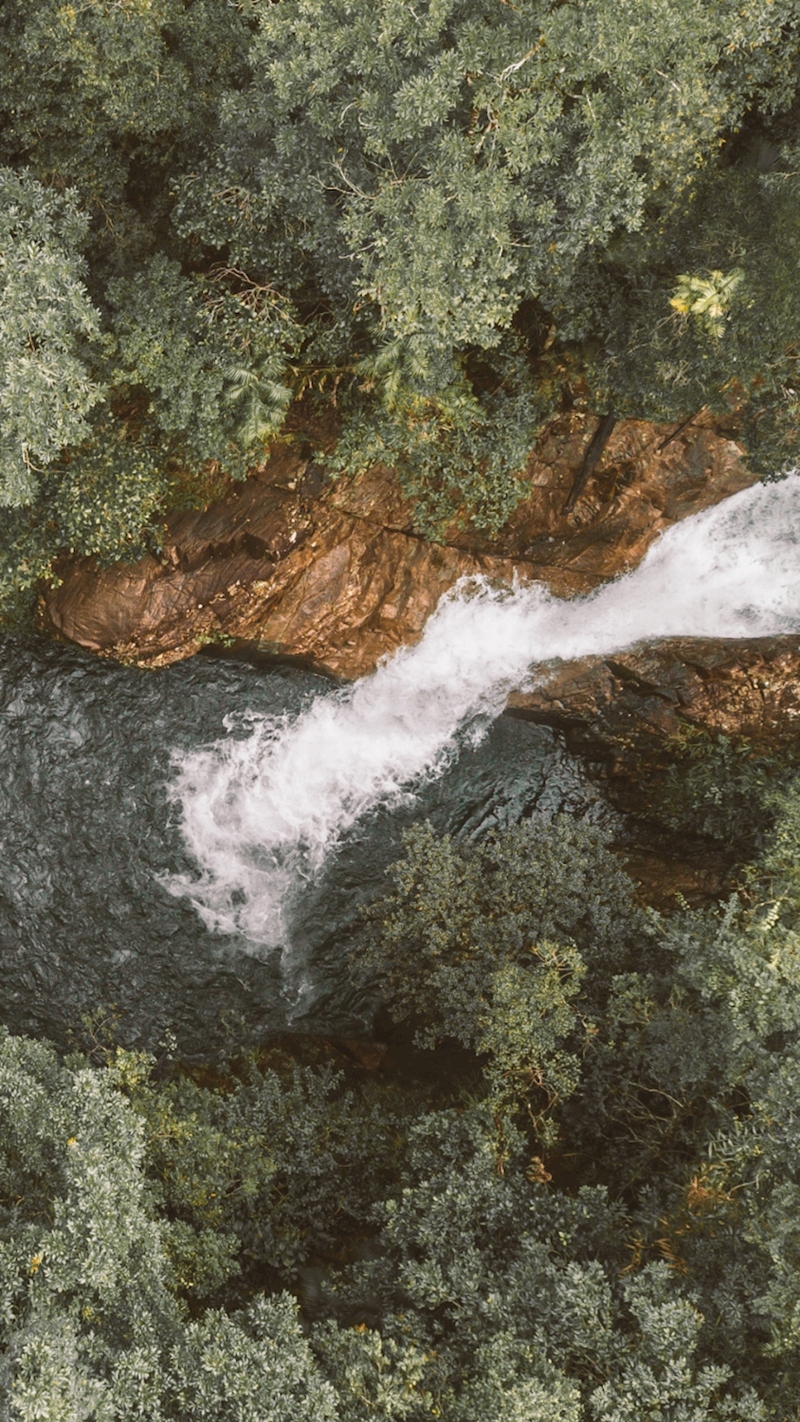 Platypus Paradise Tour - Image 2