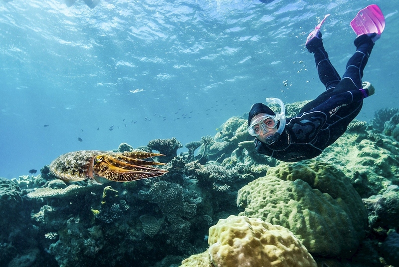 SeaQuest Day Trips to Outer Barrier Reef - Image 3